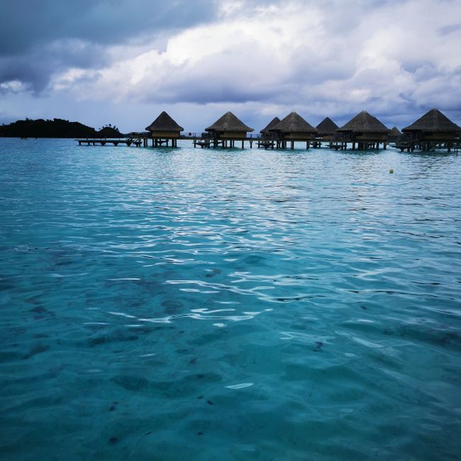 Luxury Travel Advisor Designing VIP Bora Bora Overwater Bungalow Itinerary
